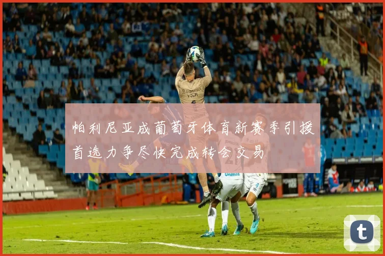 帕利尼亚成葡萄牙体育新赛季引援首选力争尽快完成转会交易